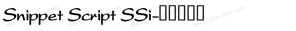 Snippet Script SSi字体转换